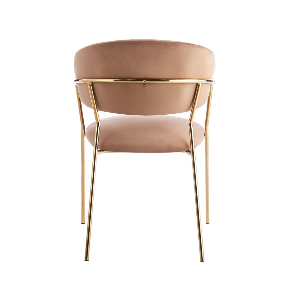 Kėdė aksomas - Riviera 24 cappuccino 3 Kėdė aksomas - Riviera 24 cappuccino 3