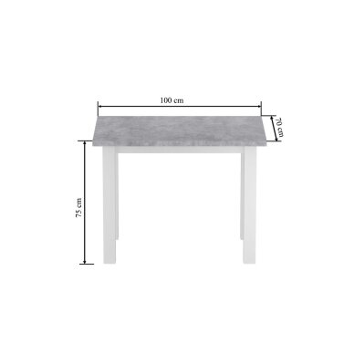 Stalas (betonas/baltas) 70x100 1